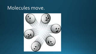 Grade 4 molecue
