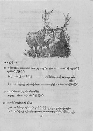 Grade4 myanmar