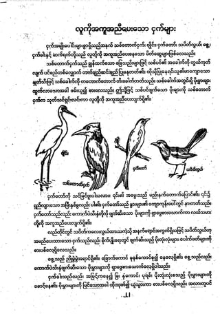 Grade4 myanmar