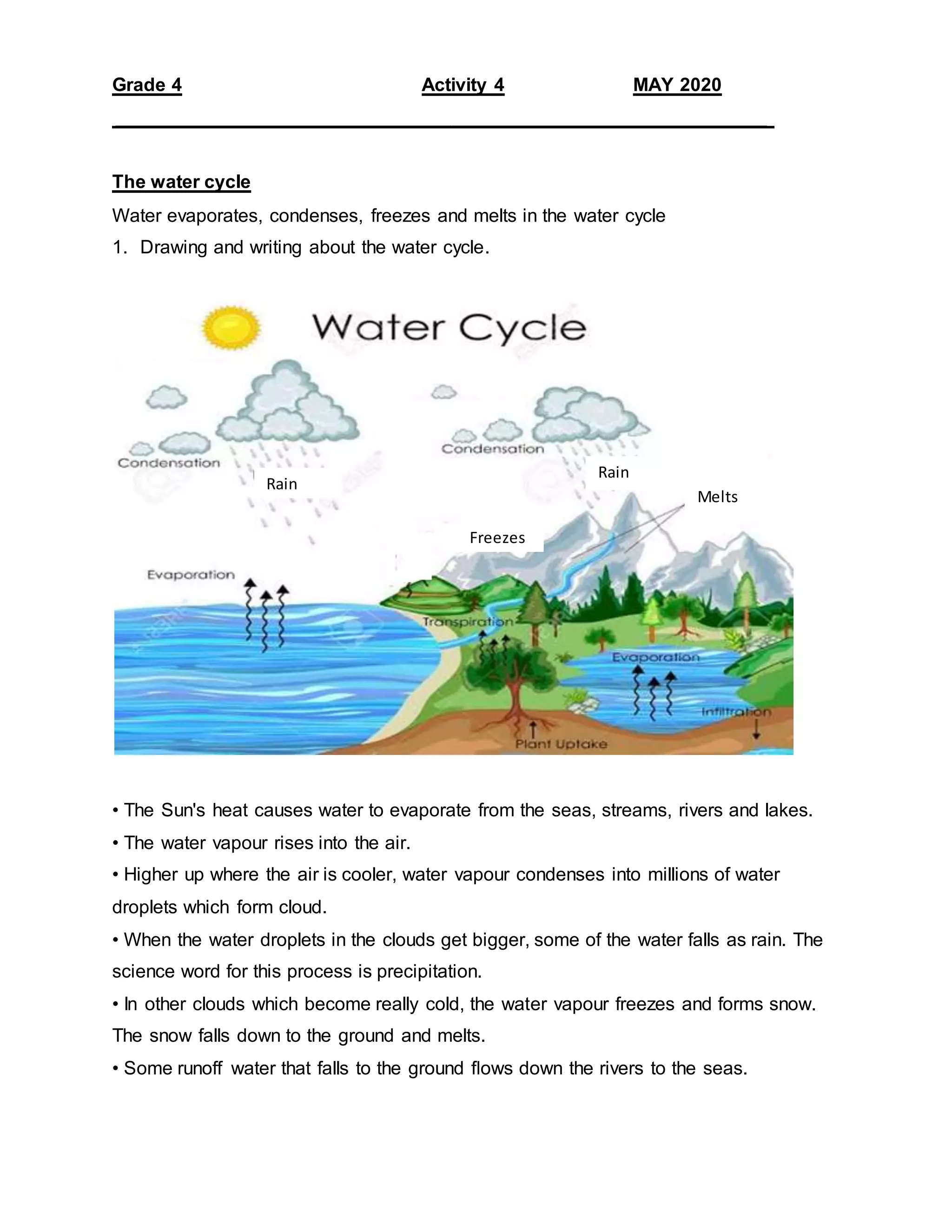 Grade 4 ns activity | DOCX