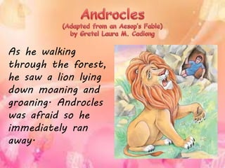 As he walking
through the forest,
he saw a lion lying
down moaning and
groaning. Androcles
was afraid so he
immediately ran
away.
 