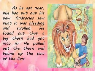 As he got near,
the lion put out his
paw. Androcles saw
that it was bleeding
and swollen. He
found out that a
big thorn had got
into it. He pulled
out the thorn and
bound up the paw
of the lion.
 