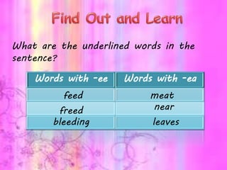 What are the underlined words in the
sentence?
Words with -ee Words with -ea
feed
freed
bleeding
meat
near
leaves
 