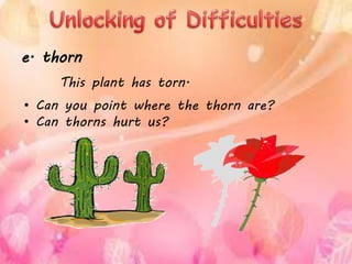 This plant has torn.
• Can you point where the thorn are?
• Can thorns hurt us?
e. thorn
 
