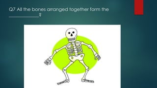 Q7 All the bones arranged together form the
_____________?
 