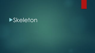 !Skeleton
 