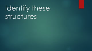 Identify these
structures
 