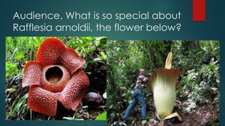 Audience. What is so special about
Rafflesia arnoldii, the flower below?
 
