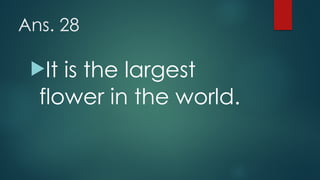 Ans. 28
!It is the largest
flower in the world.
 