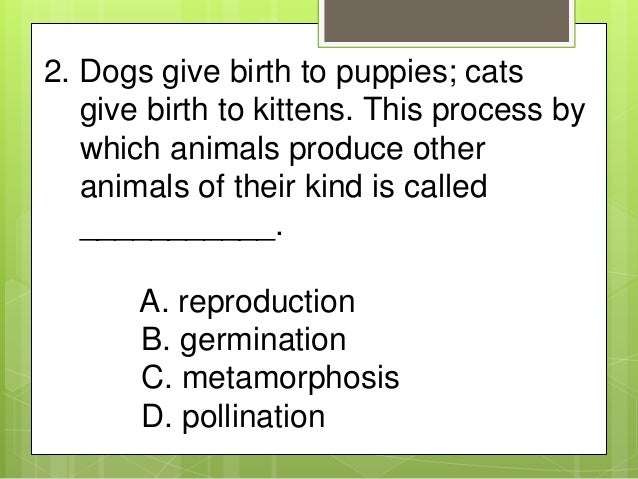 science quiz questions and answers for class 7 pdf