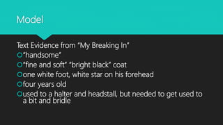 Model
Text Evidence from “My Breaking In”
“handsome”
“fine and soft” “bright black” coat
one white foot, white star on his forehead
four years old
used to a halter and headstall, but needed to get used to
a bit and bridle
 