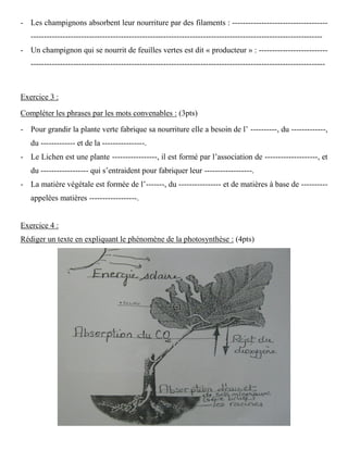 - Les champignons absorbent leur nourriture par des filaments : ------------------------------------
--------------------------------------------------------------------------------------------------------------
- Un champignon qui se nourrit de feuilles vertes est dit « producteur » : --------------------------
---------------------------------------------------------------------------------------------------------------
Exercice 3 :
Compléter les phrases par les mots convenables : (3pts)
- Pour grandir la plante verte fabrique sa nourriture elle a besoin de l’ ----------, du -------------,
du ------------- et de la ----------------.
- Le Lichen est une plante -----------------, il est formé par l’association de --------------------, et
du ------------------ qui s’entraident pour fabriquer leur ------------------.
- La matière végétale est formée de l’-------, du ---------------- et de matières à base de ----------
appelées matières ------------------.
Exercice 4 :
Rédiger un texte en expliquant le phénomène de la photosynthèse : (4pts)
 