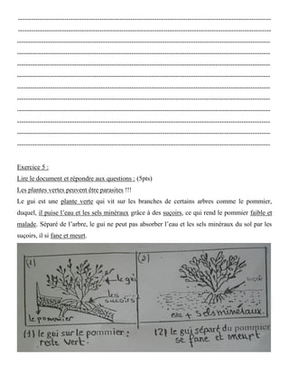 -------------------------------------------------------------------------------------------------------------------
-------------------------------------------------------------------------------------------------------------------
-------------------------------------------------------------------------------------------------------------------
-------------------------------------------------------------------------------------------------------------------
-------------------------------------------------------------------------------------------------------------------
-------------------------------------------------------------------------------------------------------------------
-------------------------------------------------------------------------------------------------------------------
-------------------------------------------------------------------------------------------------------------------
-------------------------------------------------------------------------------------------------------------------
-------------------------------------------------------------------------------------------------------------------
-------------------------------------------------------------------------------------------------------------------
-------------------------------------------------------------------------------------------------------------------
Exercice 5 :
Lire le document et répondre aux questions : (5pts)
Les plantes vertes peuvent être parasites !!!
Le gui est une plante verte qui vit sur les branches de certains arbres comme le pommier,
duquel, il puise l’eau et les sels minéraux grâce à des suçoirs, ce qui rend le pommier faible et
malade. Séparé de l’arbre, le gui ne peut pas absorber l’eau et les sels minéraux du sol par les
suçoirs, il si fane et meurt.
 
