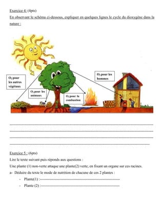 Exercice 4: (4pts)
En observant le schéma ci-dessous, expliquer en quelques lignes le cycle du dioxygène dans la
nature :
-------------------------------------------------------------------------------------------------------------------
-------------------------------------------------------------------------------------------------------------------
-------------------------------------------------------------------------------------------------------------------
----------------------------------------------------------------------------------------------------------------
Exercice 5 : (6pts)
Lire le texte suivant puis réponds aux questions :
Une plante (1) non-verte attaque une plante(2) verte, en fixant un organe sur ces racines.
a- Déduire du texte le mode de nutrition de chacune de ces 2 plantes :
- Plante(1) :----------------------------------------------------------------
- Plante (2) :---------------------------------------------------------------
O2 pour
les autres
végétaux
O2 pour les
animaux
O2 pour les
hommes
O2 pour la
combustion
 