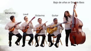 Bandurria
Laud
Octavina Guitar
Bajo de uñas or Double Bass
 