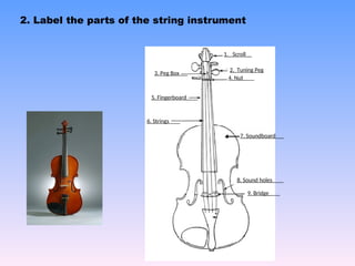 Grade 5 PPT_MAPEH_Q2_W9_String Family PPT.ppt | Music | Entertainment