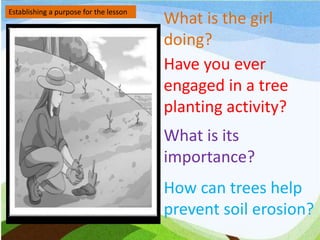 Establishing a purpose for the lesson
What is the girl
doing?
Have you ever
engaged in a tree
planting activity?
What is its
importance?
How can trees help
prevent soil erosion?
 
