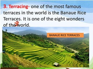 3. Terracing- one of the most famous
terraces in the world is the Banaue Rice
Terraces. It is one of the eight wonders
of the world.
BANAUE RICE TERRACES
 
