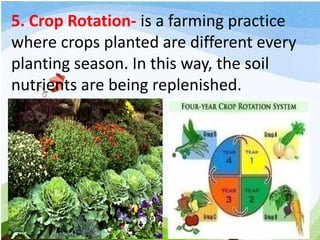 5. Crop Rotation- is a farming practice
where crops planted are different every
planting season. In this way, the soil
nutrients are being replenished.
 