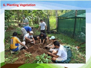 6. Planting Vegetation
 