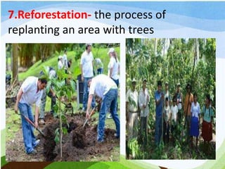 7.Reforestation- the process of
replanting an area with trees
 