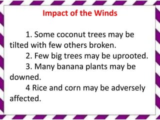 Impact of the Winds
1. Some coconut trees may be
tilted with few others broken.
2. Few big trees may be uprooted.
3. Many banana plants may be
downed.
4 Rice and corn may be adversely
affected.
 