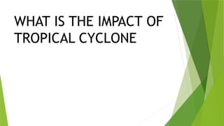 The Impact and components of Tropical Cyclone | PPTX