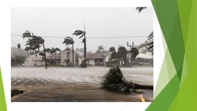 The Impact and components of Tropical Cyclone | PPTX