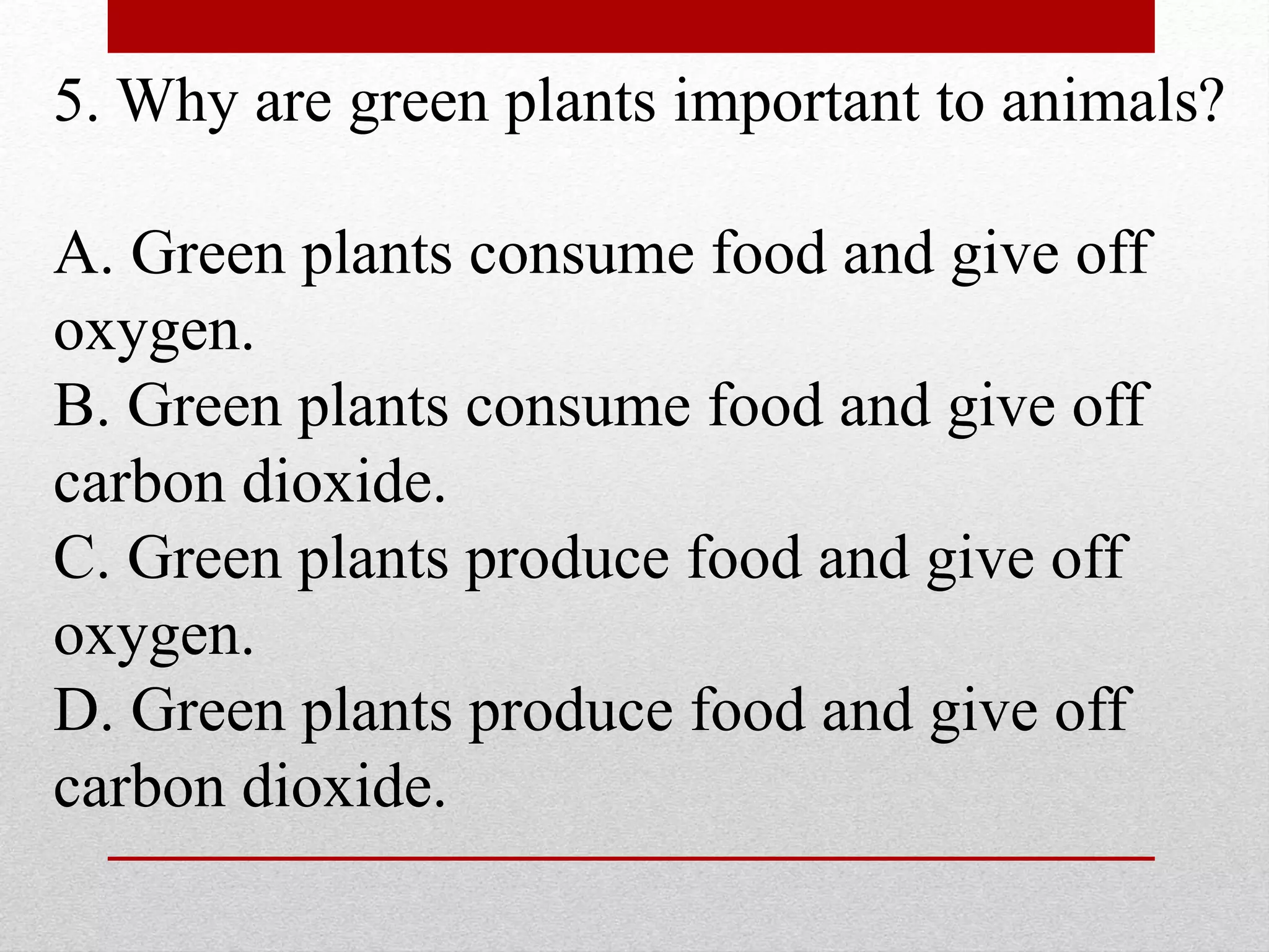 Grade 5 Science Quiz