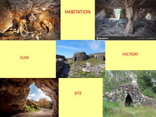 HABITATION
CUM
FACTORY
SITE
 
