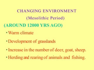 CHANGING ENVIRONMENT
(Mesolithic Period)
(AROUND 12000 YRS AGO)
* Warm climate
*Development of grasslands
* Increase in the numberof deer, goat, sheep.
* Herdingand rearingof animals and fishing.
 
