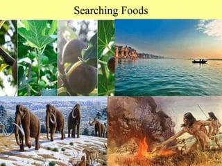 Searching Foods
 