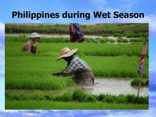 Philippines during Wet Season
 