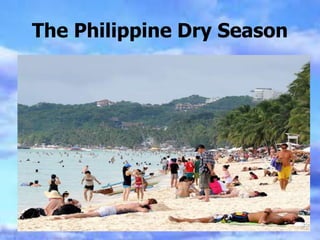 The Philippine Dry Season
 
