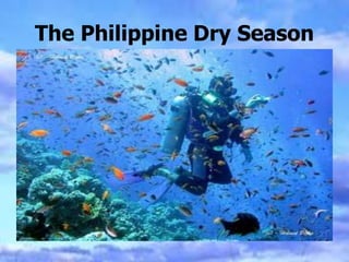 The Philippine Dry Season
 