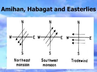 Amihan, Habagat and Easterlies
 