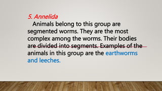 5. Annelida
Animals belong to this group are
segmented worms. They are the most
complex among the worms. Their bodies
are divided into segments. Examples of the
animals in this group are the earthworms
and leeches.
 