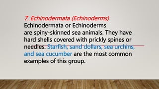 7. Echinodermata (Echinoderms)
Echinodermata or Echinoderms
are spiny-skinned sea animals. They have
hard shells covered with prickly spines or
needles. Starfish, sand dollars, sea urchins,
and sea cucumber are the most common
examples of this group.
 