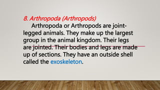 8. Arthropoda (Arthropods)
Arthropoda or Arthropods are joint-
legged animals. They make up the largest
group in the animal kingdom. Their legs
are jointed. Their bodies and legs are made
up of sections. They have an outside shell
called the exoskeleton.
 