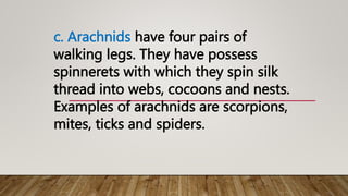 c. Arachnids have four pairs of
walking legs. They have possess
spinnerets with which they spin silk
thread into webs, cocoons and nests.
Examples of arachnids are scorpions,
mites, ticks and spiders.
 