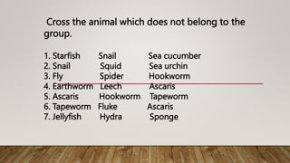 Cross the animal which does not belong to the
group.
1. Starfish Snail Sea cucumber
2. Snail Squid Sea urchin
3. Fly Spider Hookworm
4. Earthworm Leech Ascaris
5. Ascaris Hookworm Tapeworm
6. Tapeworm Fluke Ascaris
7. Jellyfish Hydra Sponge
 