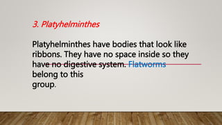 3. Platyhelminthes
Platyhelminthes have bodies that look like
ribbons. They have no space inside so they
have no digestive system. Flatworms
belong to this
group.
 