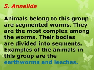Grade 6 PPT_Science_Q2_W6_Invertebrates.pptx