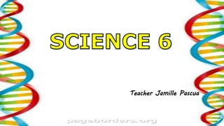 Teacher Jamille Pascua
 