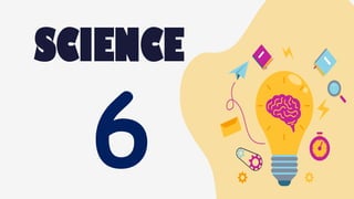 SCIENCE
6
 