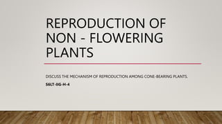 REPRODUCTION OF
NON - FLOWERING
PLANTS
DISCUSS THE MECHANISM OF REPRODUCTION AMONG CONE-BEARING PLANTS.
S6LT-IIG-H-4
 