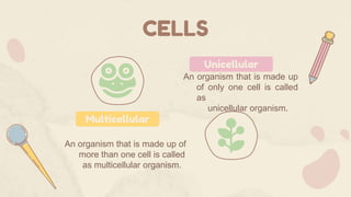LET’S TRY:
1.Examples of prokaryotic and
eukaryotic cells
2. Why cell is considered as basic
structural unit of life?
 