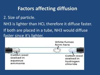 Factors affecting diffusion
2. Size of particle.
NH3 is lighter than HCL therefore it diffuse faster.
If both are placed in a tube, NH3 would diffuse
faster since it's lighter.
 