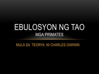 MULA SA TEORYA NI CHARLES DARWIN
EBULOSYON NG TAO
MGA PRIMATES
 