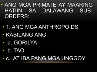 • ANG MGA PRIMATE AY MAARING
HATIIN SA DALAWANG SUB-
ORDERS:
• 1. ANG MGA ANTHROPOIDS
• KABILANG ANG:
• a. GORILYA
• b. TAO
• c. AT IBA PANG MGA UNGGOY
 